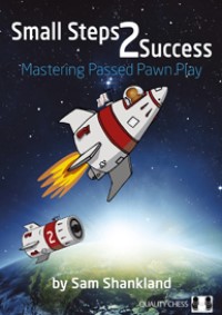 Small Steps to Success (paperback). 9781784830892